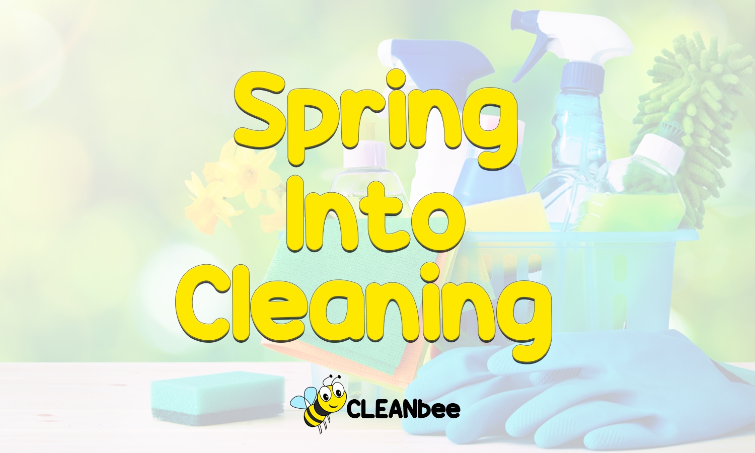 Spring Into Cleaning