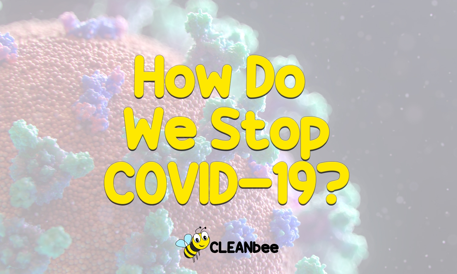 How Do We Stop COVID-19?