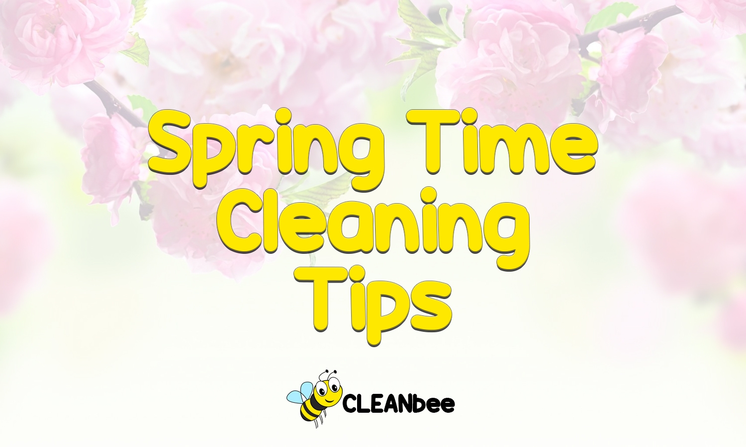 Spring Time Cleaning Tips