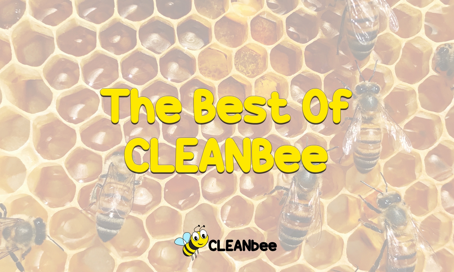 The Best Of CLEANbee