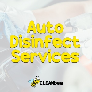 Auto Disinfect Services
