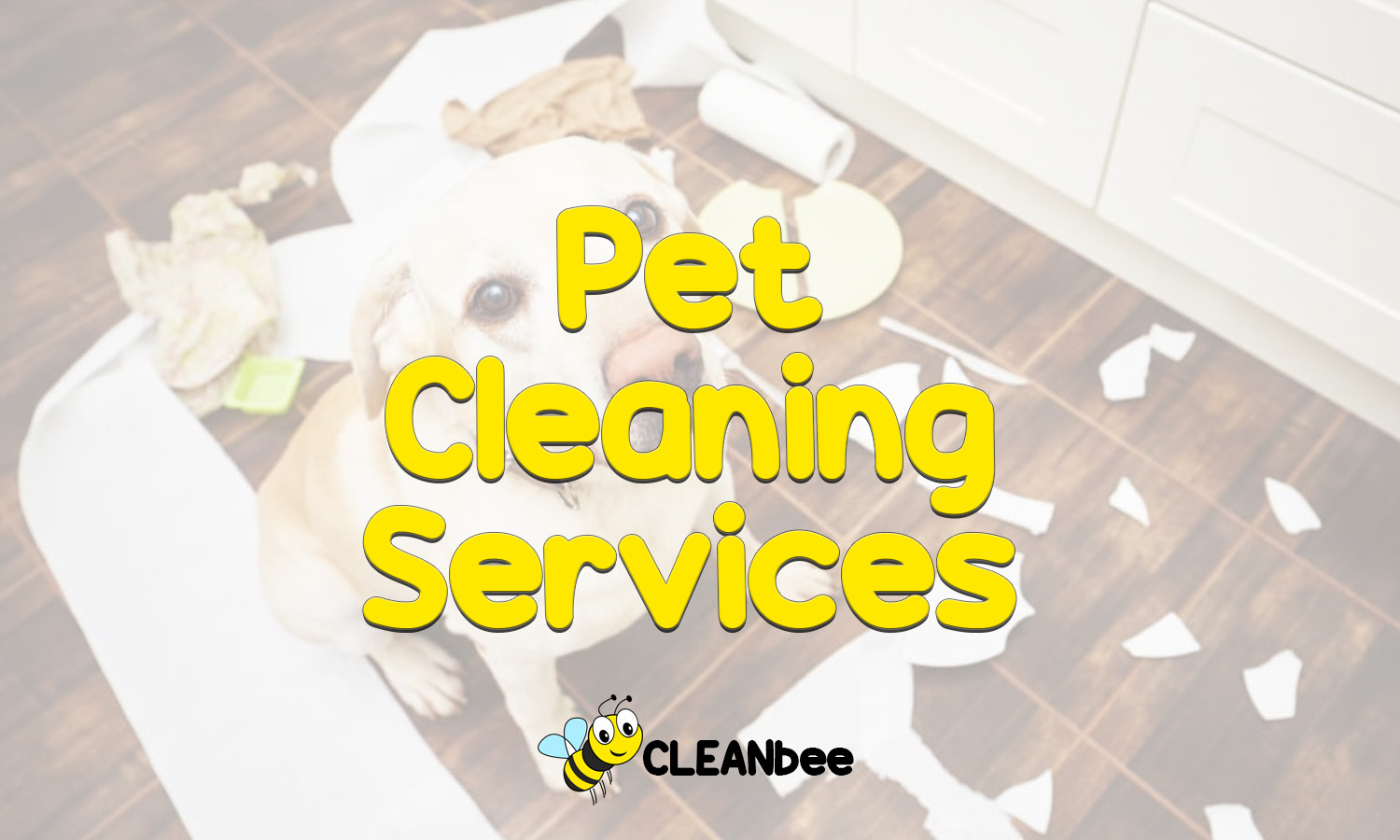 Pet Cleaning Services