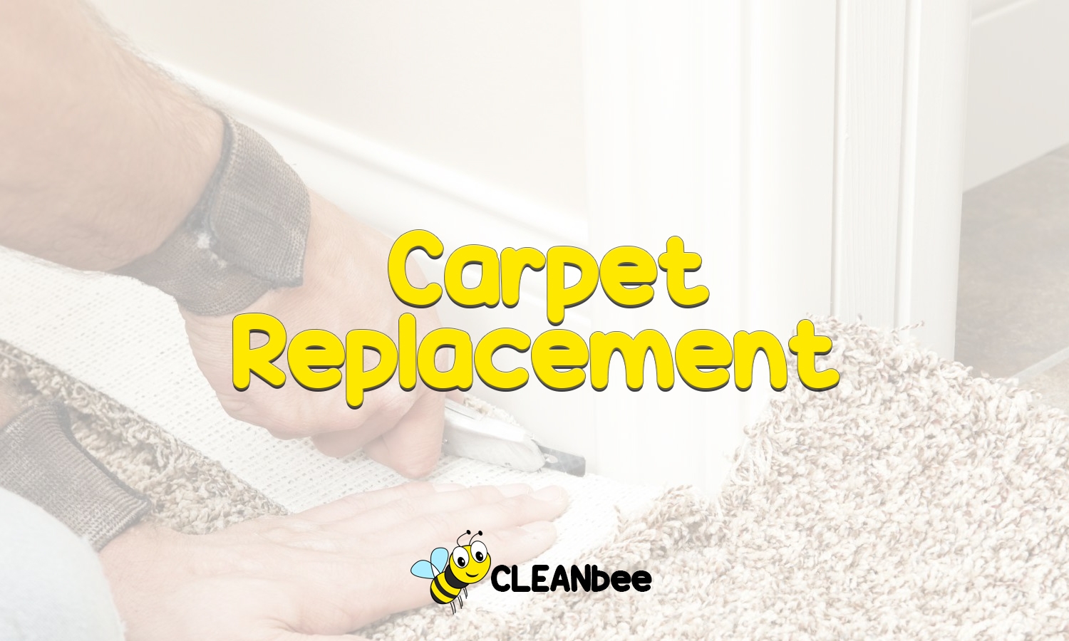 Carpet Replacement