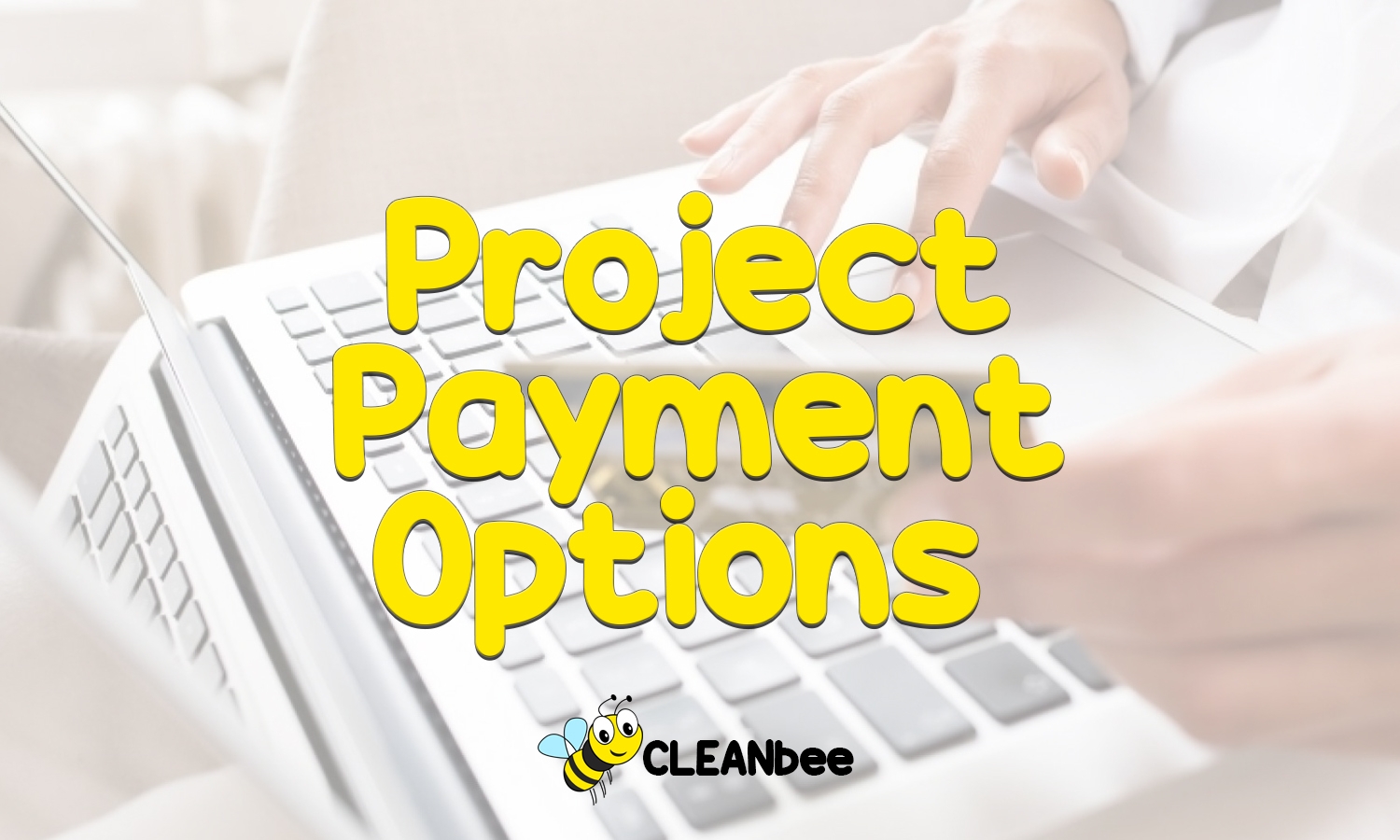 Project Payment Options