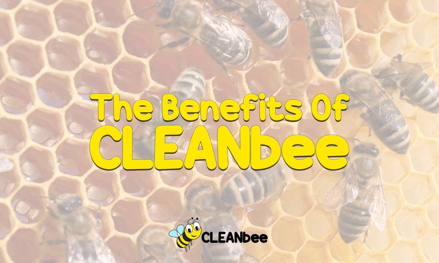 The Benefits Of CLEANbee