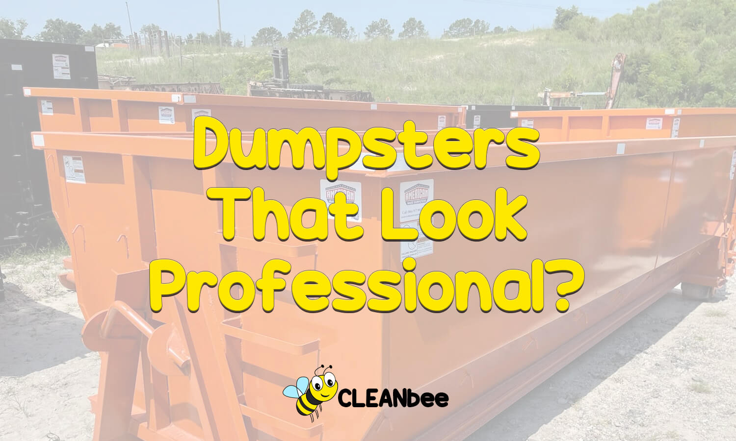 Dumpsters That Look Professional?