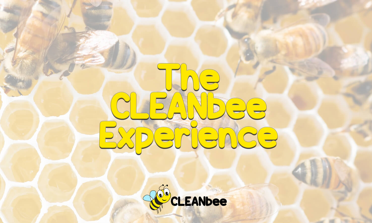 The CLEANbee Experience