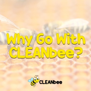 Why Go With CLEANbee?