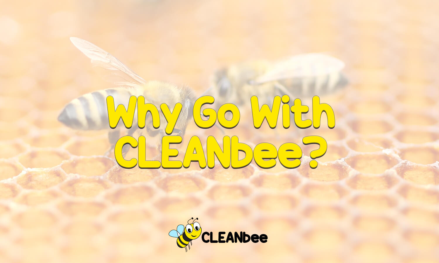 Why Go With CLEANbee?