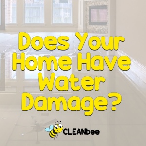 Does Your Home Have Water Damage?