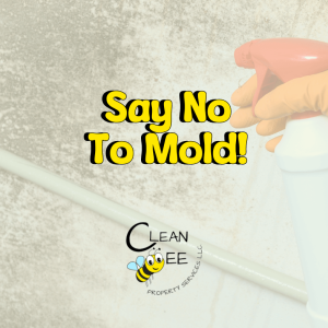 Say No To The Mold!