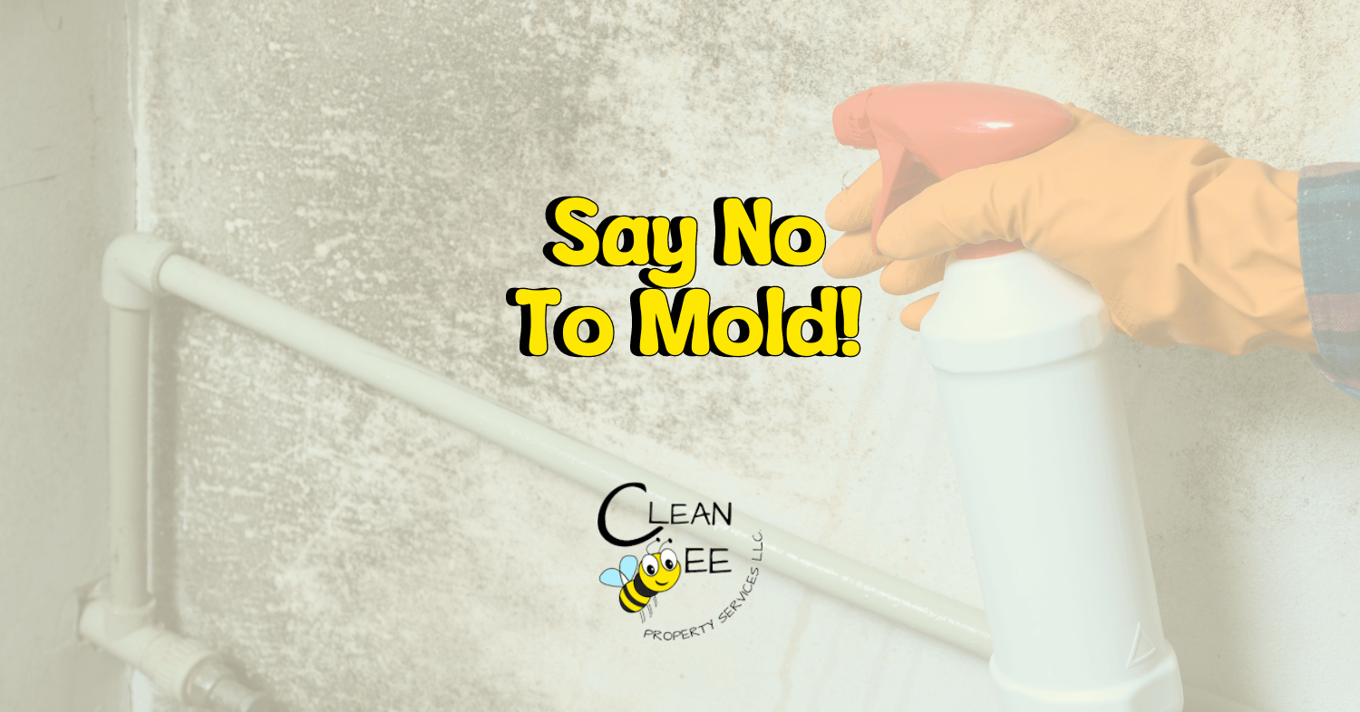 Say No To Mold!